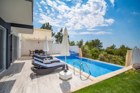 Villa Salkım Üzümlü